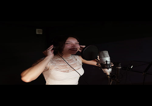 Chanteurs et Groupes